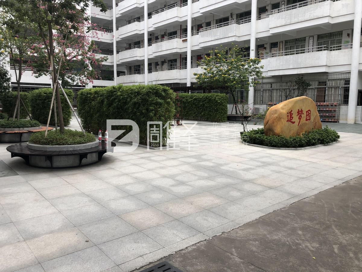 廣東廣州番禺市橋實(shí)驗小學(xué)戶(hù)外實(shí)木圍樹(shù)椅現場(chǎng)定制(圖4)